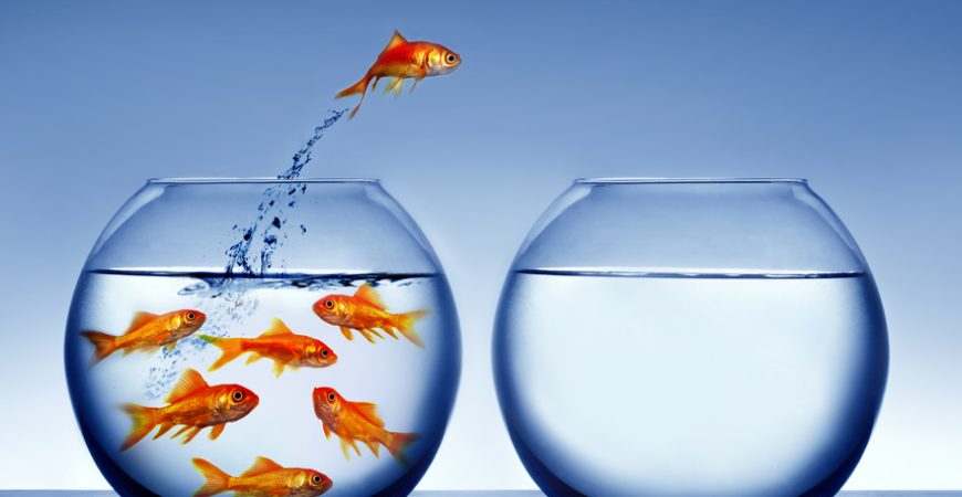Modelling behaviour for success