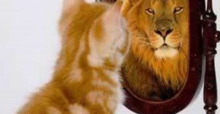 The critical role of self concept in personal and professional success